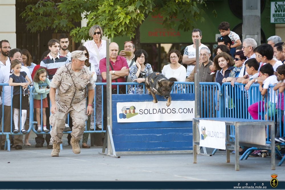V SEMANA NAVAL MADRID 2015. Demostración de capacidades de la unidad canina de la AGRUMAD